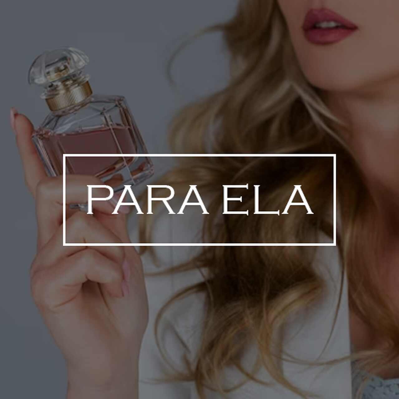 Perfumes genéricos para ele